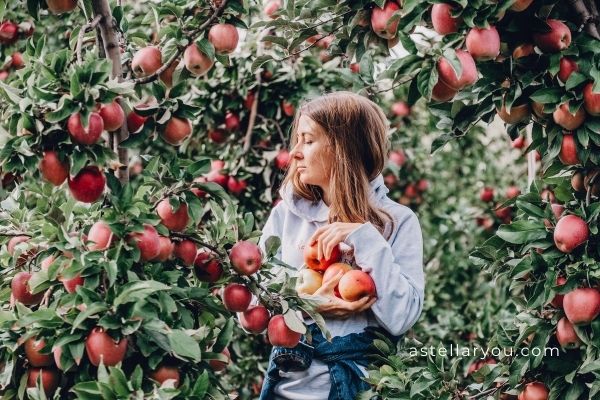 Why apple picking is good for your well being 