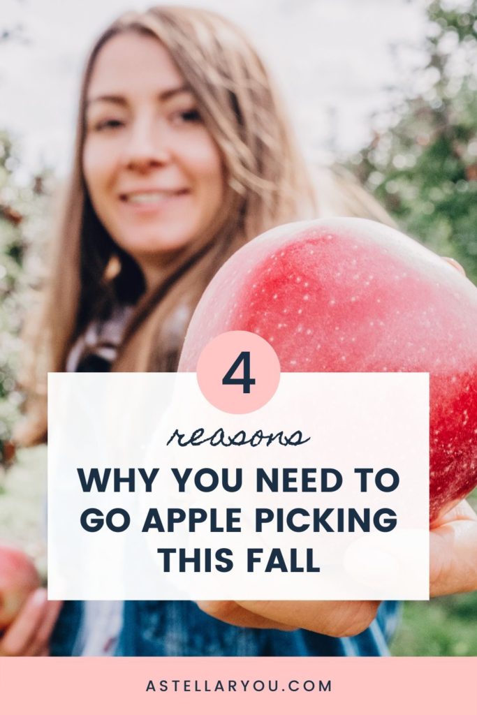 Why you should go apple picking this fall - 4 benefits for your health