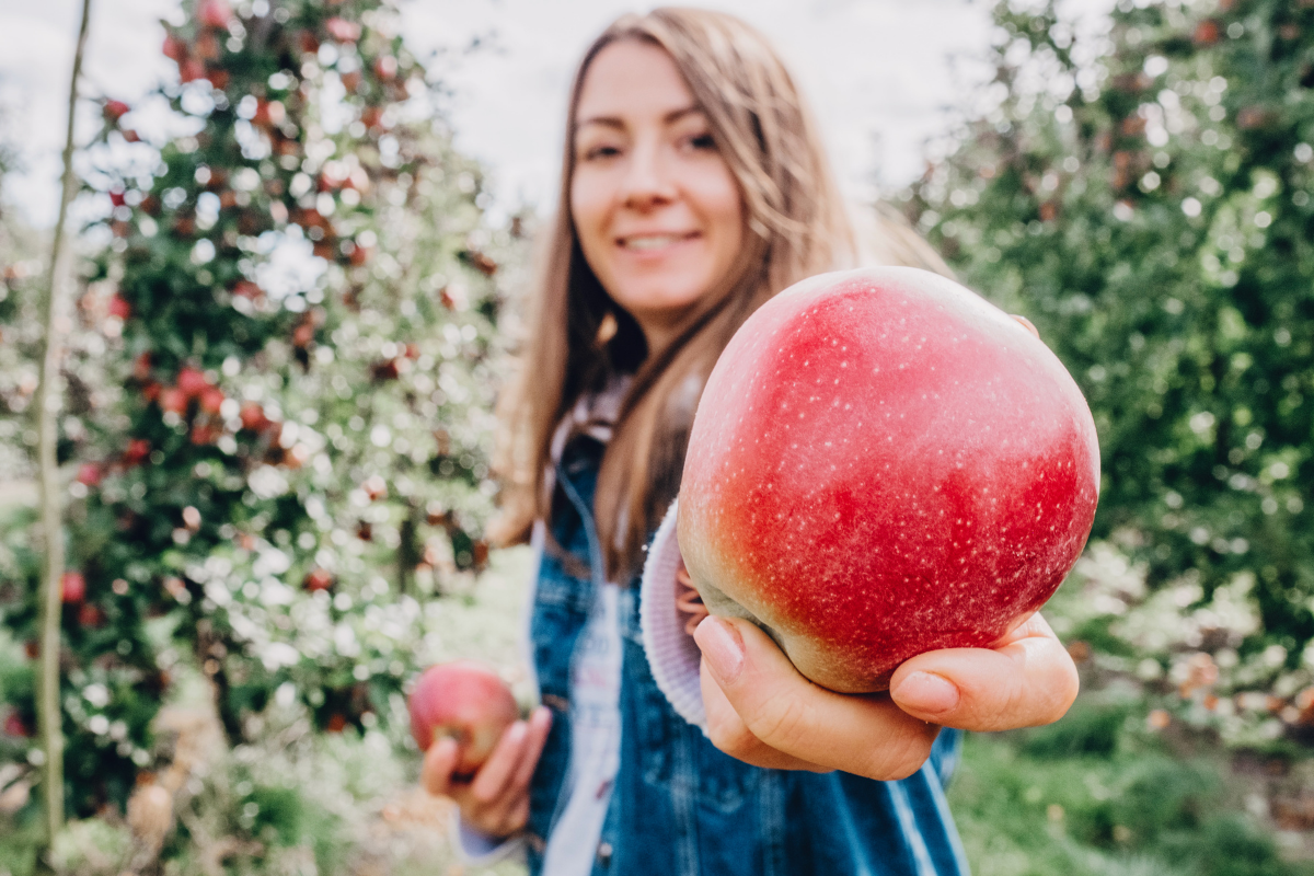Why you need to go apple picking this fall - by A Stellar You Montreal Blog